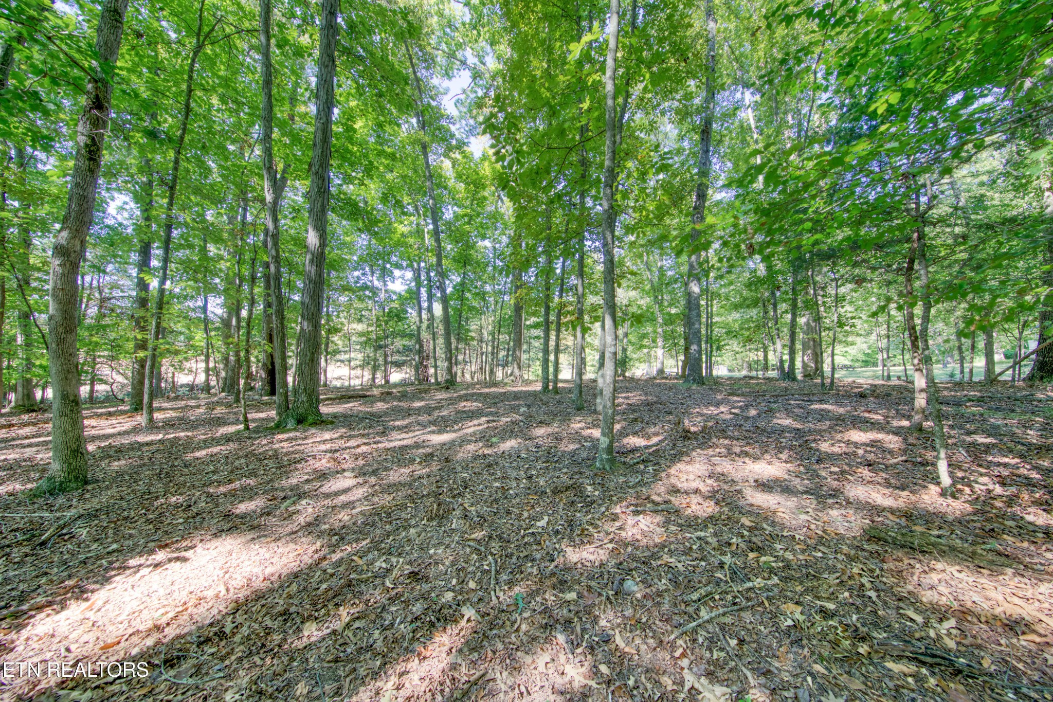 1549 Wise Way Property Photo 19