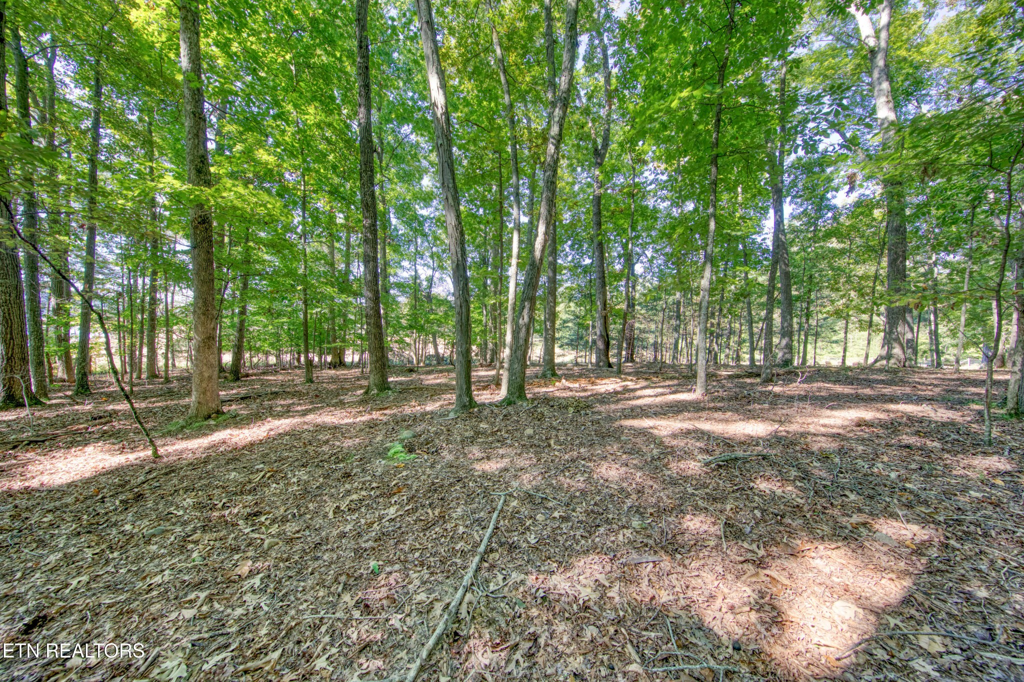 1549 Wise Way Property Photo 21