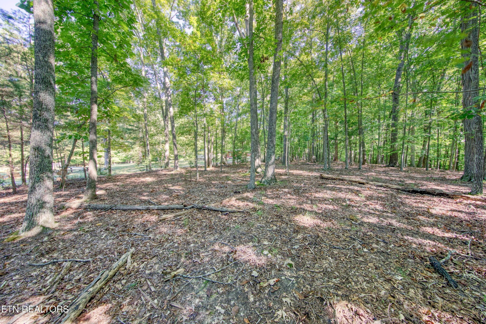 1549 Wise Way Property Photo 23