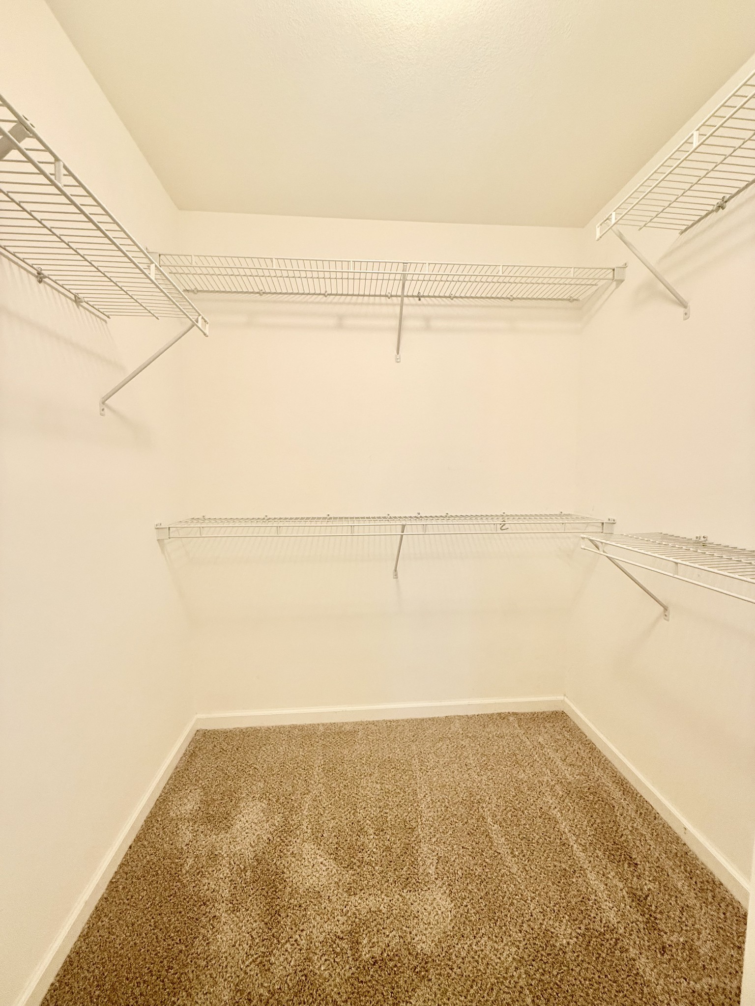 825 Browns Ln Property Photo 15