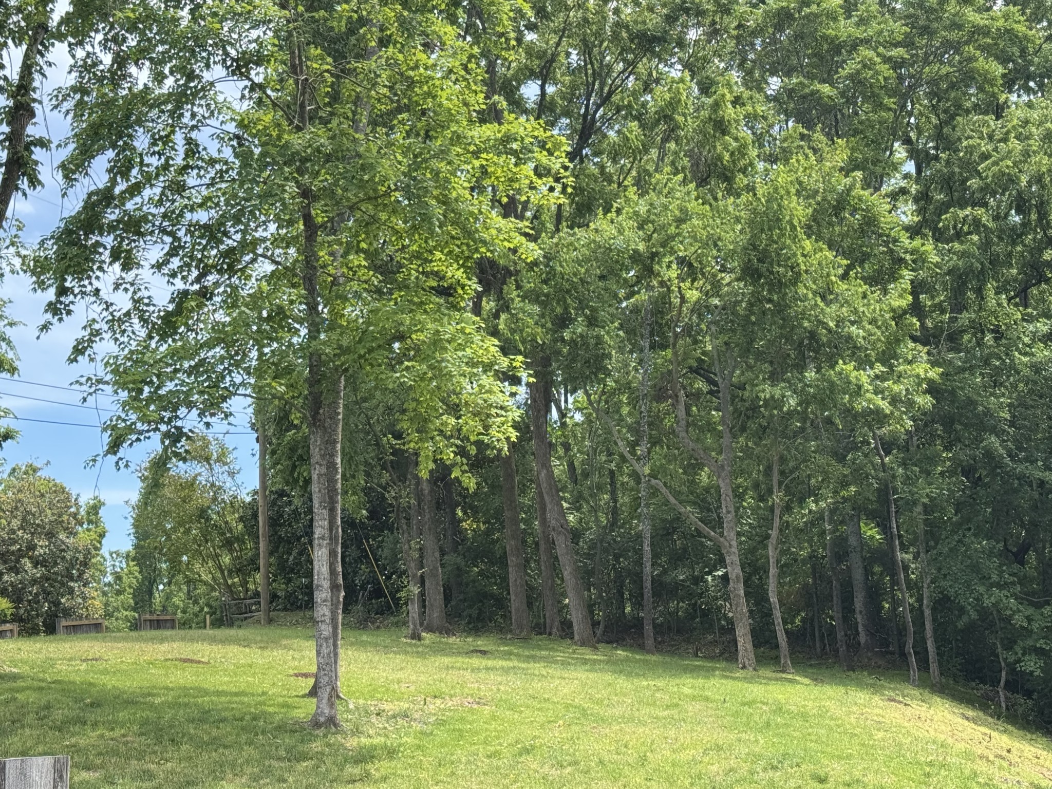 1121 Harpeth Ridge Rd Property Photo 3