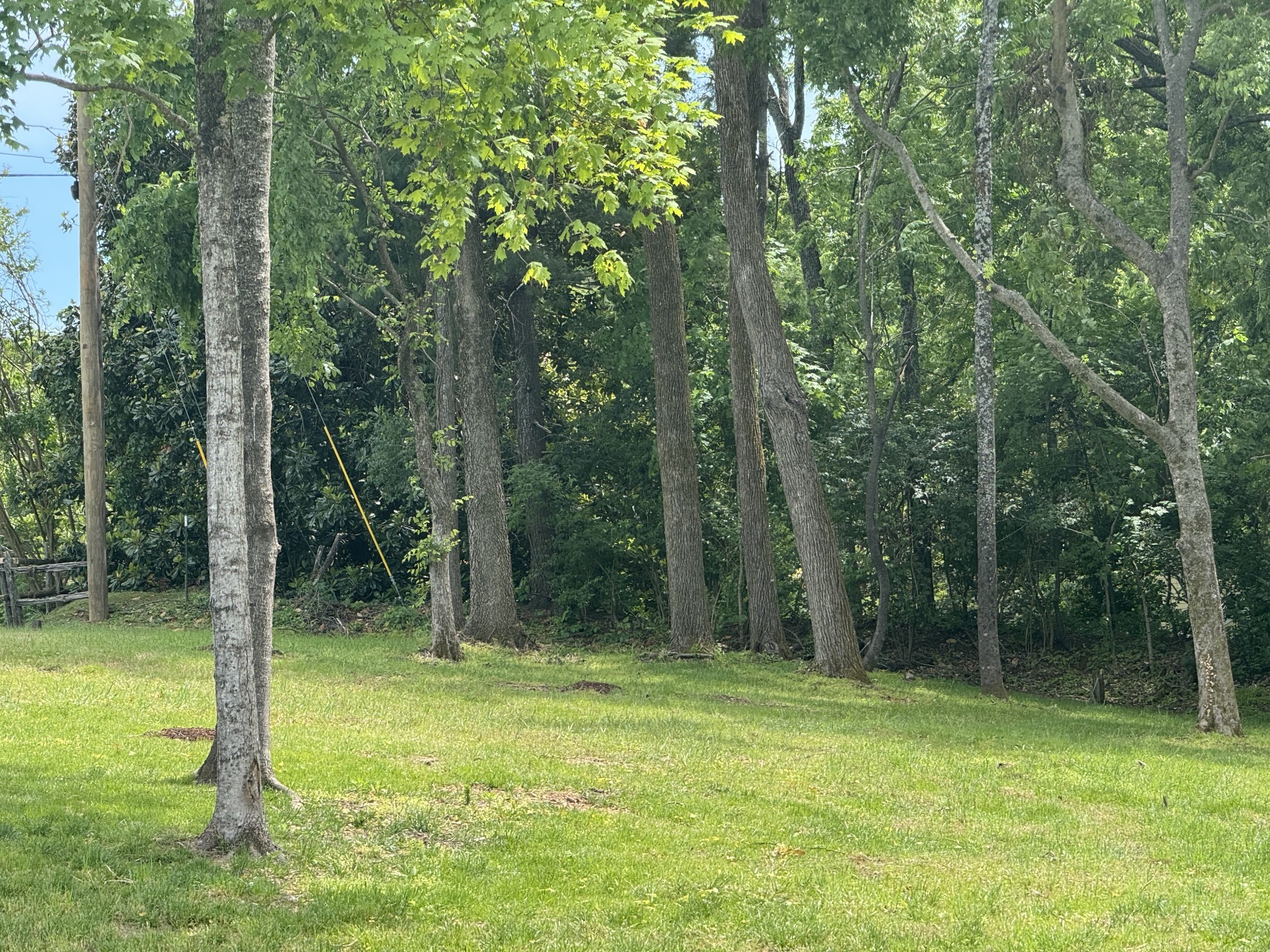 1121 Harpeth Ridge Rd Property Photo 6