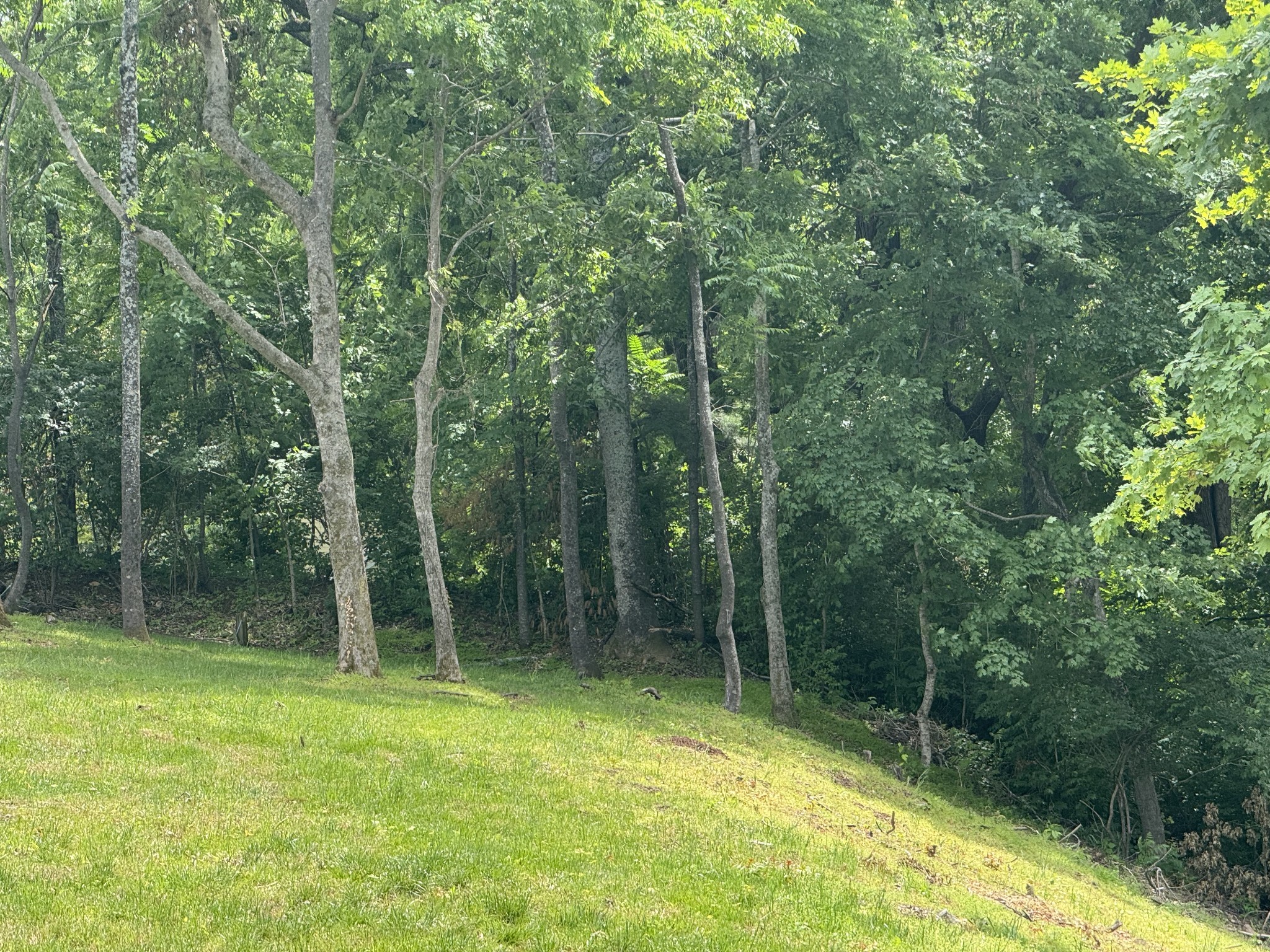 1121 Harpeth Ridge Rd Property Photo 7