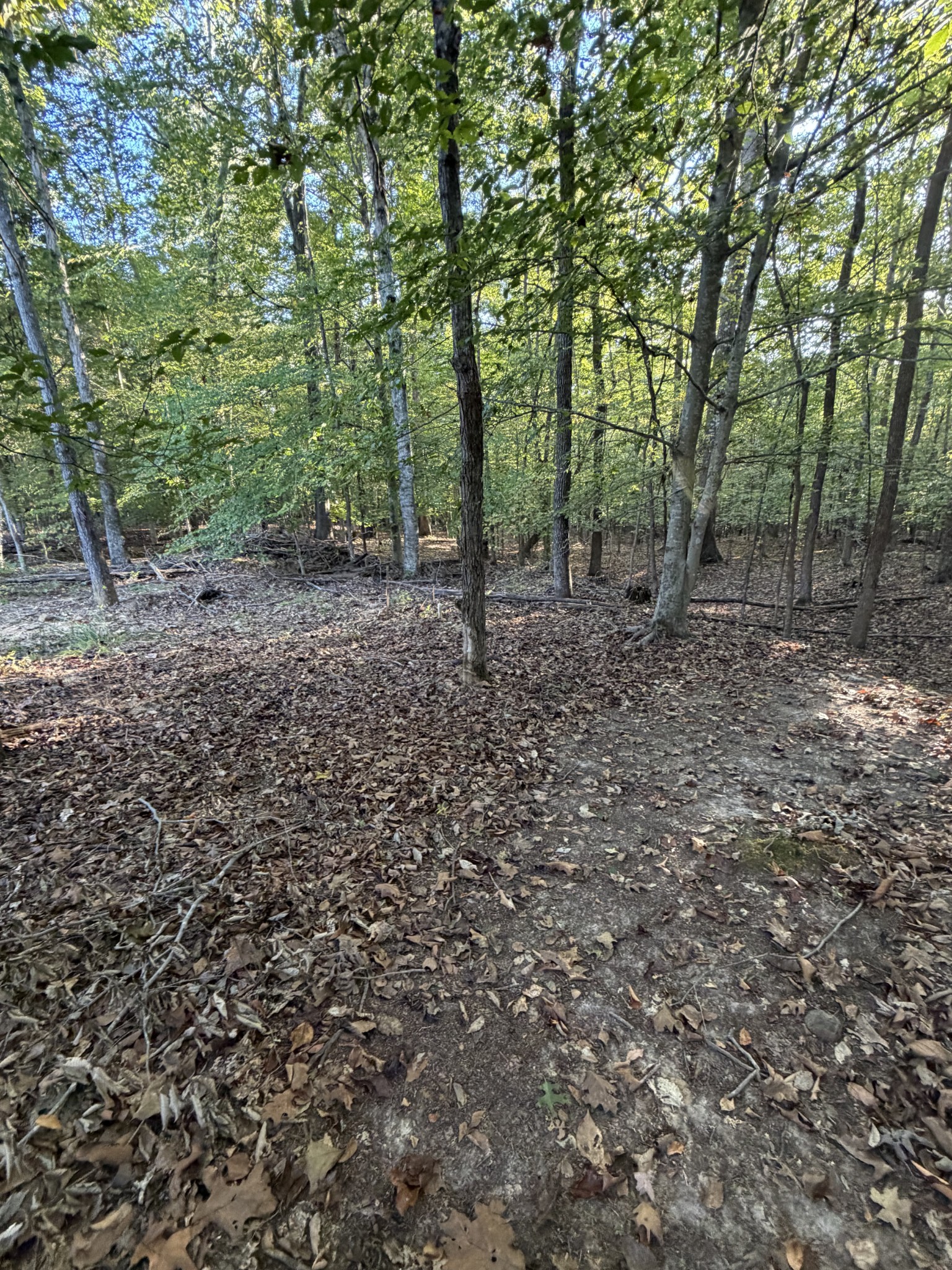 559 Pleasant Hill Rd Property Photo 1