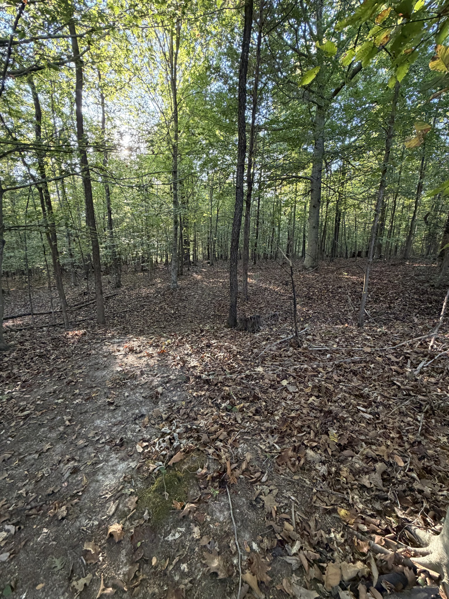 559 Pleasant Hill Rd Property Photo 11