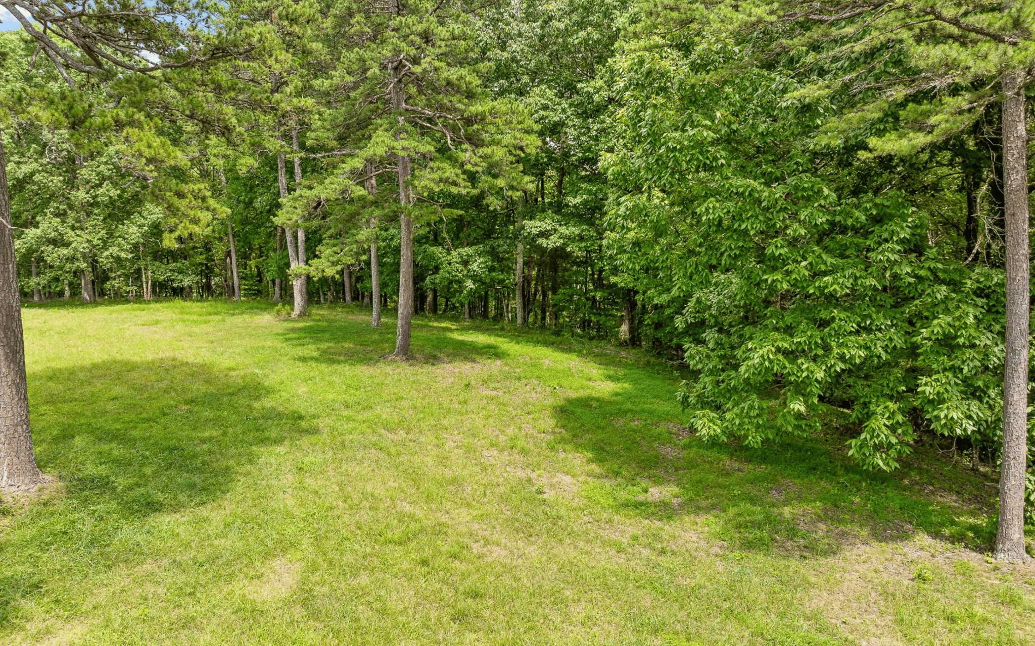 1820 Sawyer Farms Lane Property Photo 14