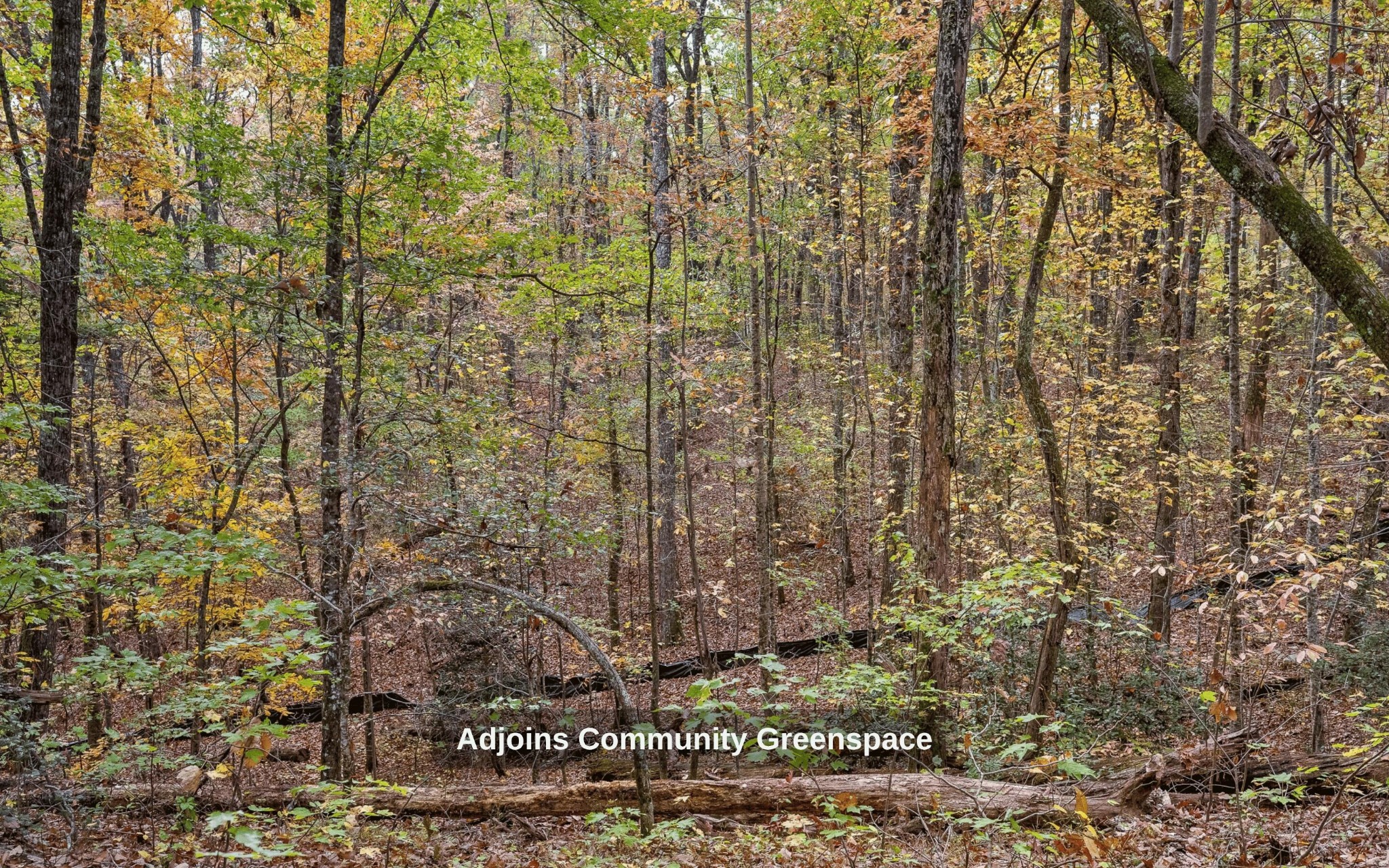 1820 Sawyer Farms Lane Property Photo 16