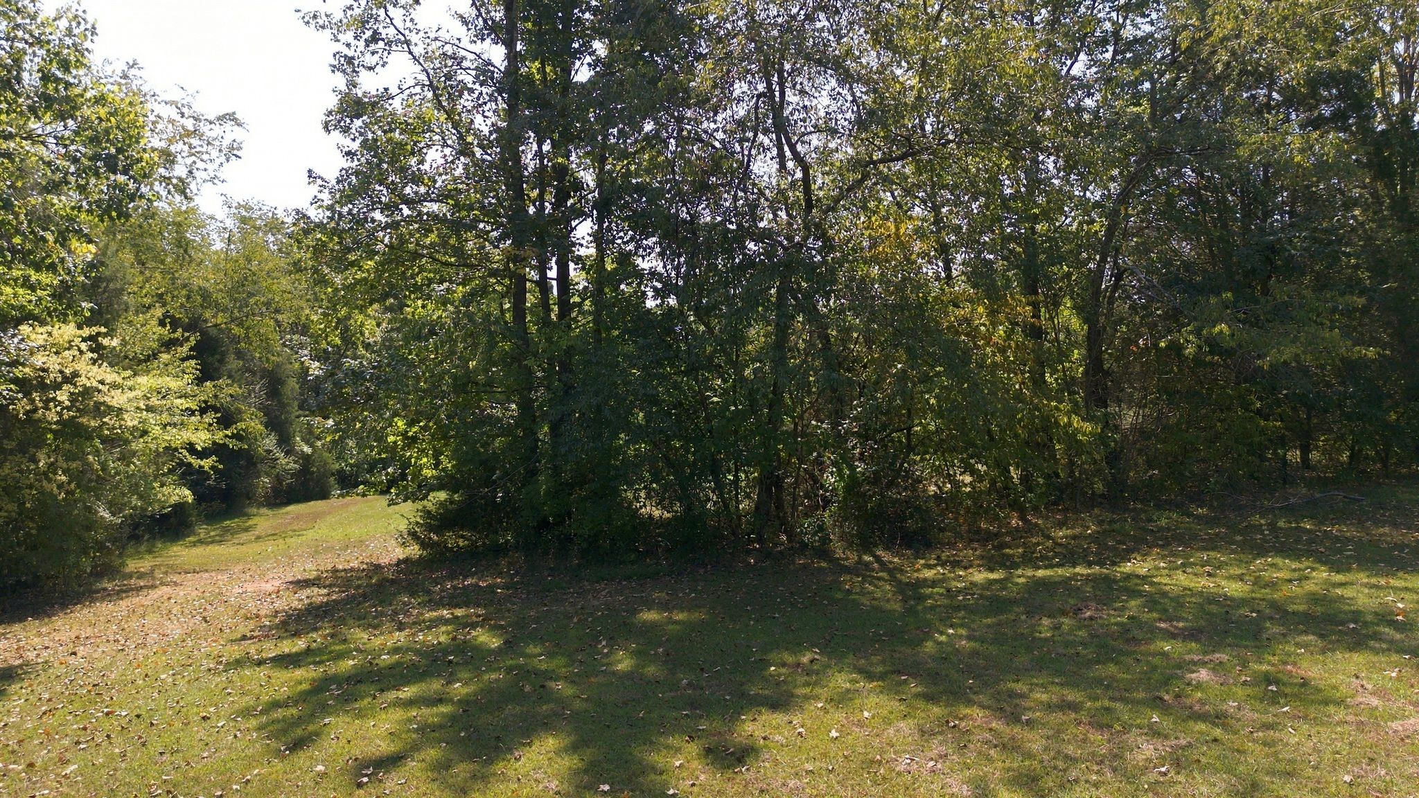 3533 Pinson School Rd Property Photo 33