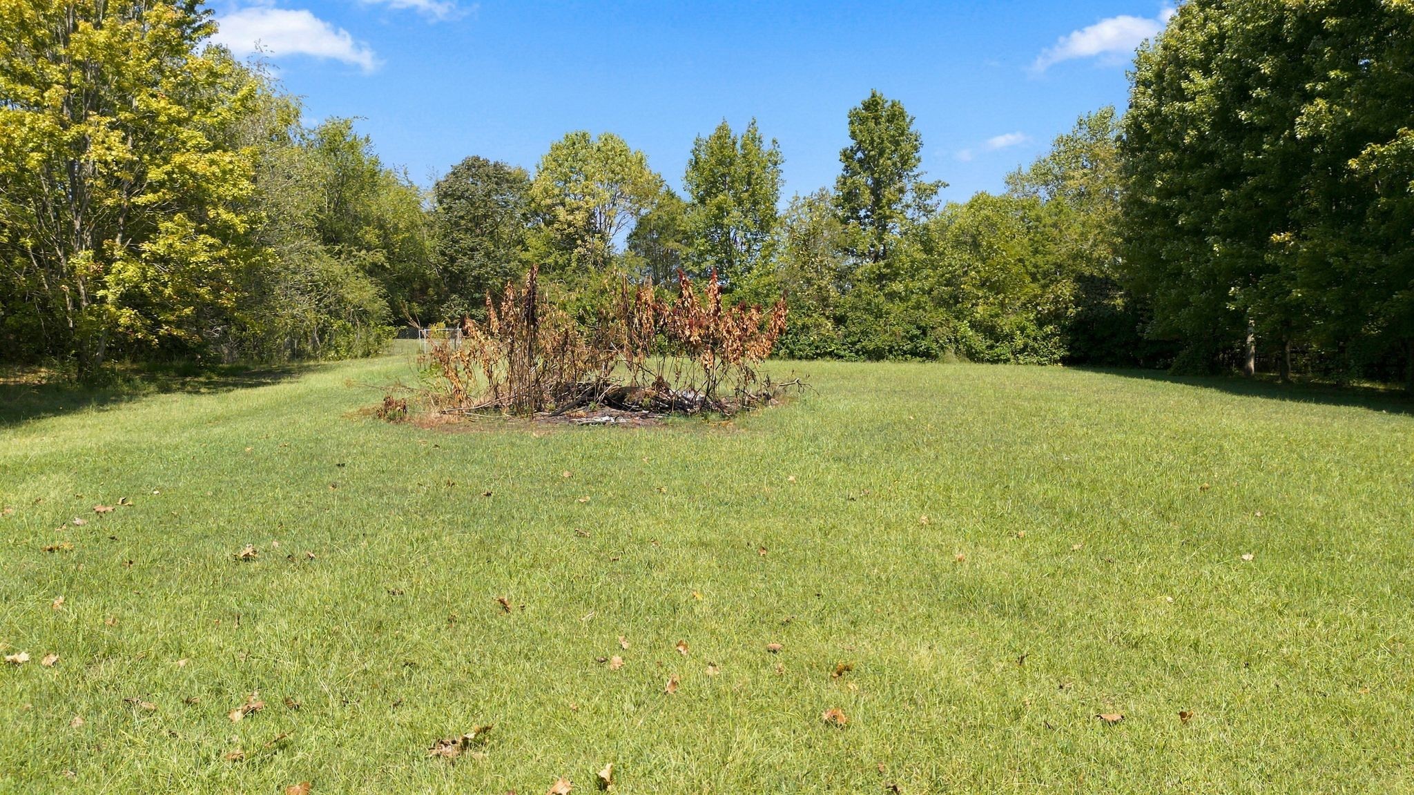 3533 Pinson School Rd Property Photo 34