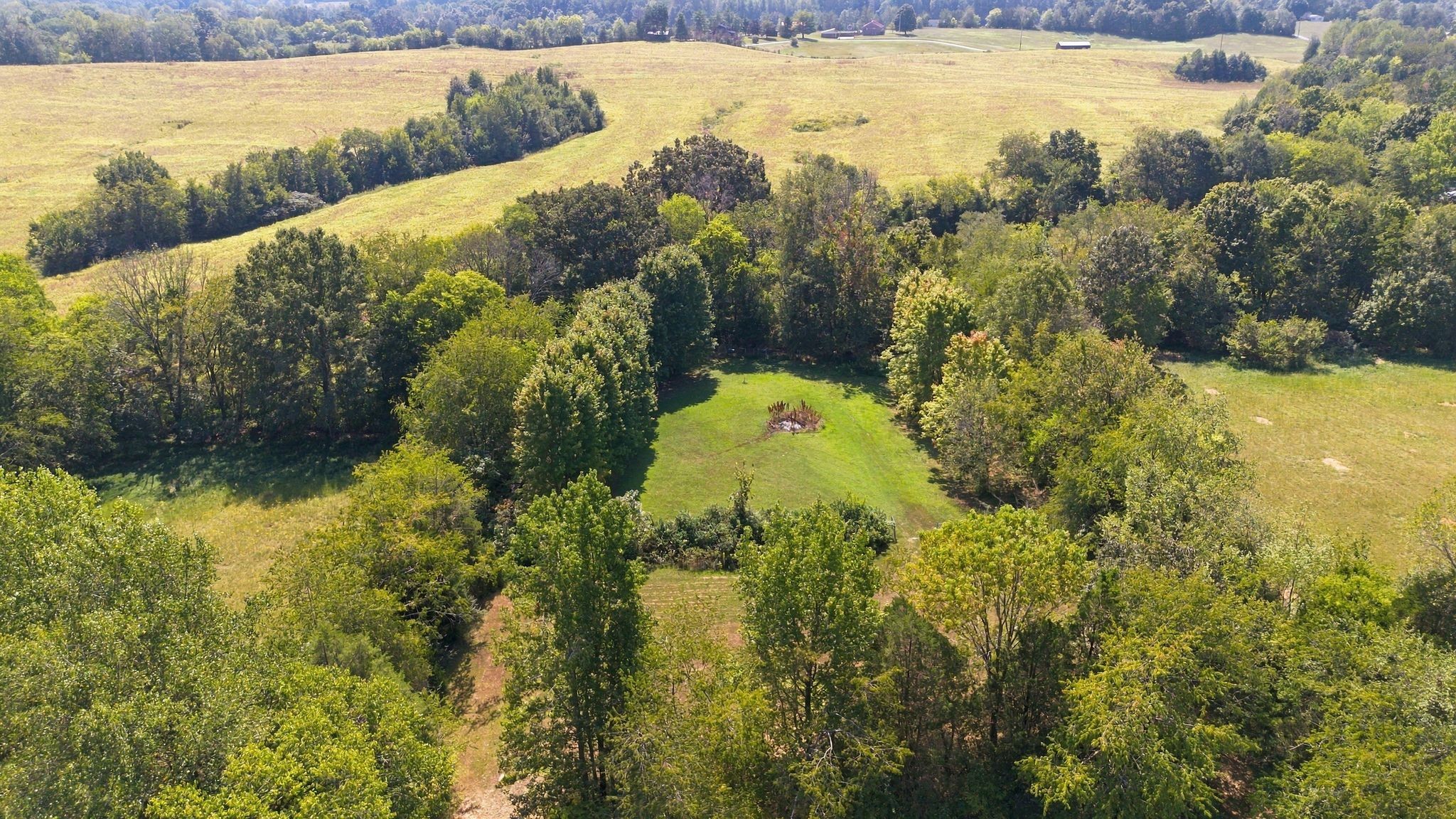 3533 Pinson School Rd Property Photo 48