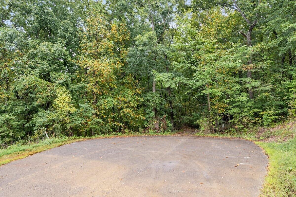 0 Browbend Drive Property Photo 6