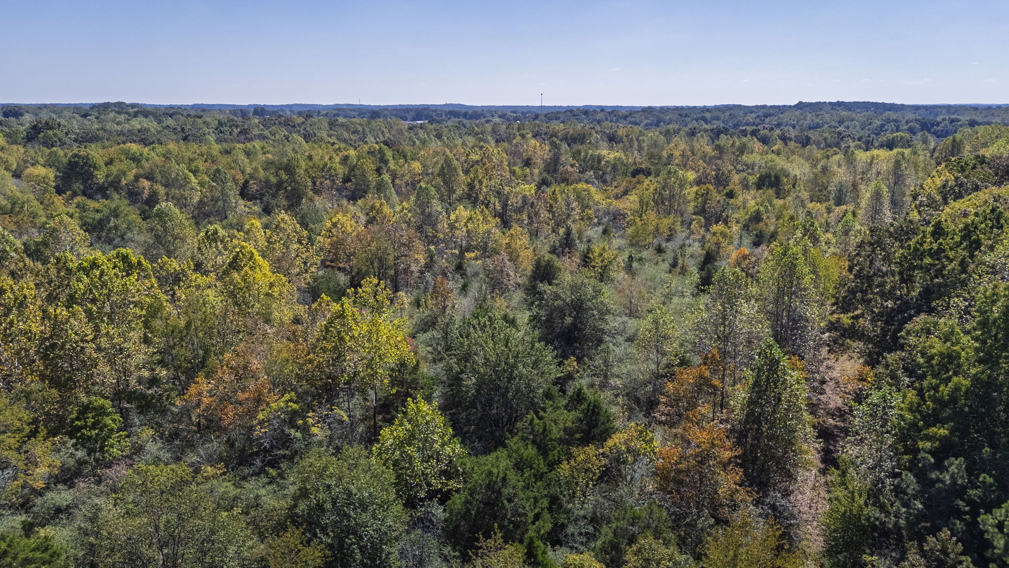 0 Bear Creek Road S Property Photo 21
