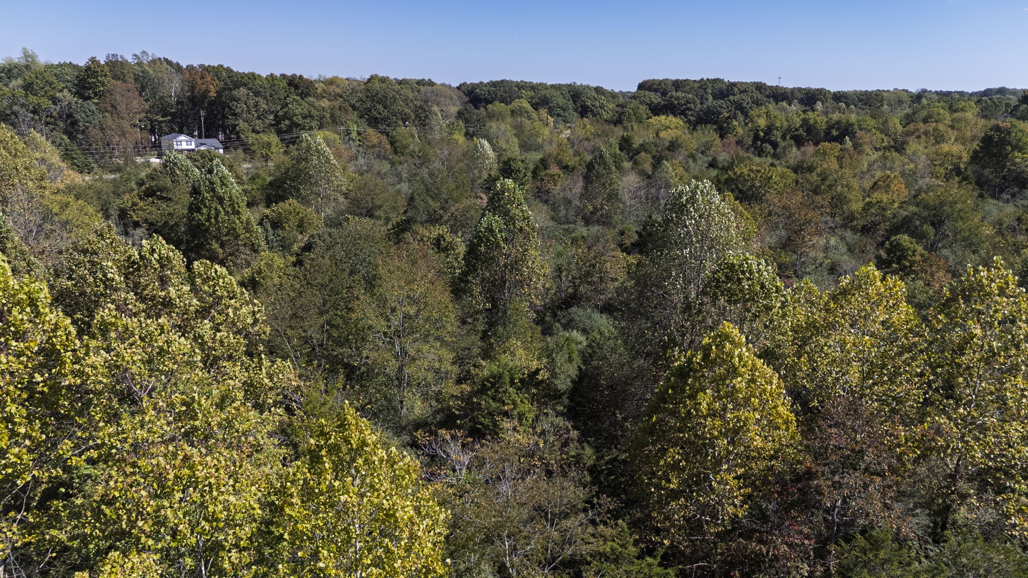 0 Bear Creek Road S Property Photo 23
