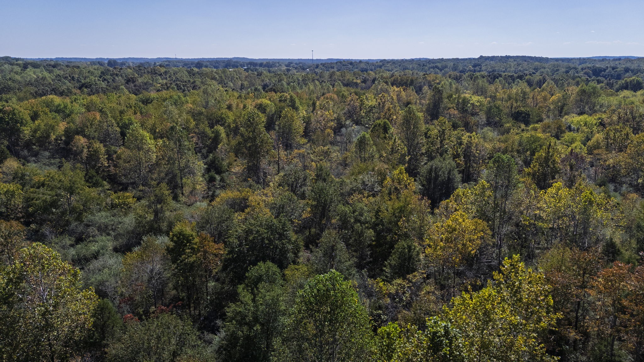 0 Bear Creek Road S Property Photo 24