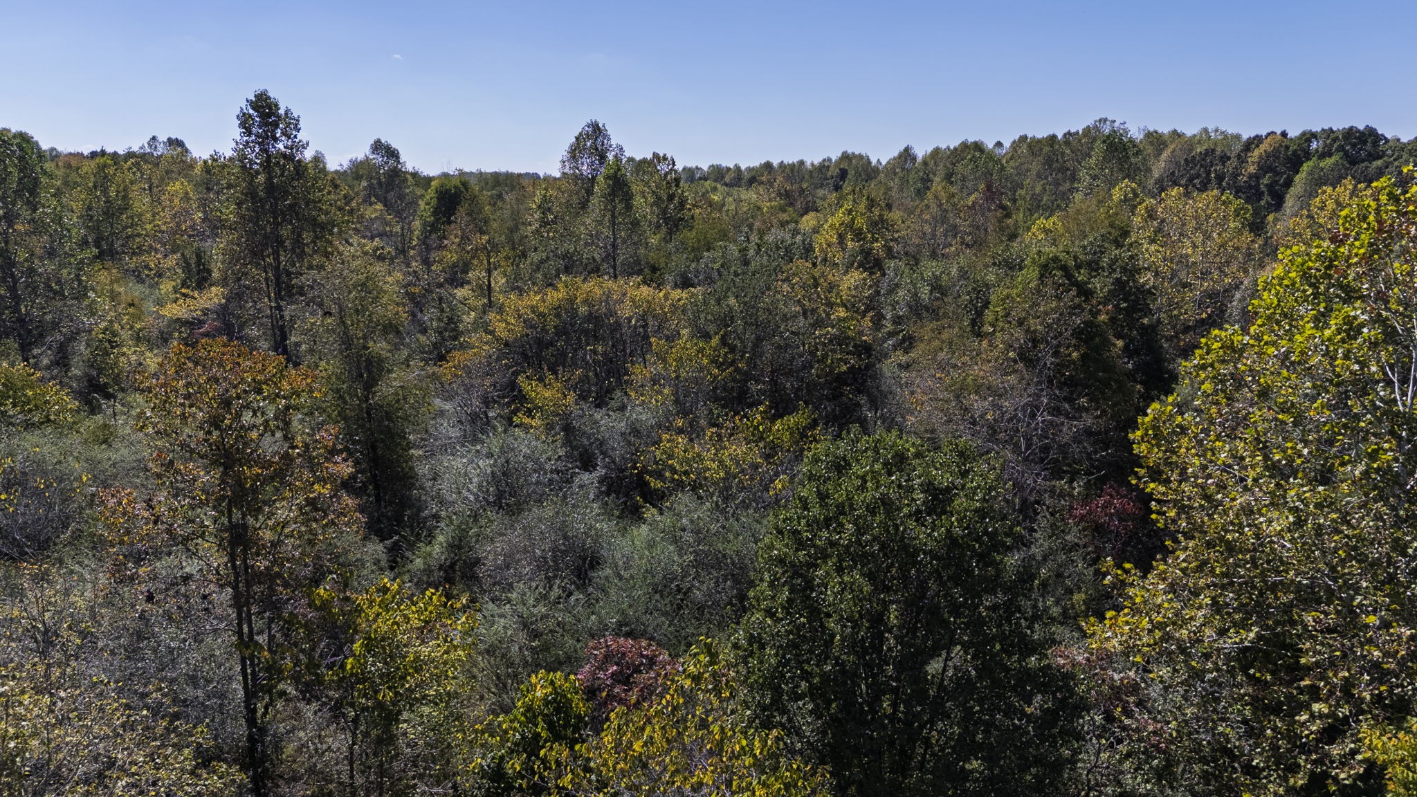 0 Bear Creek Road S Property Photo 25