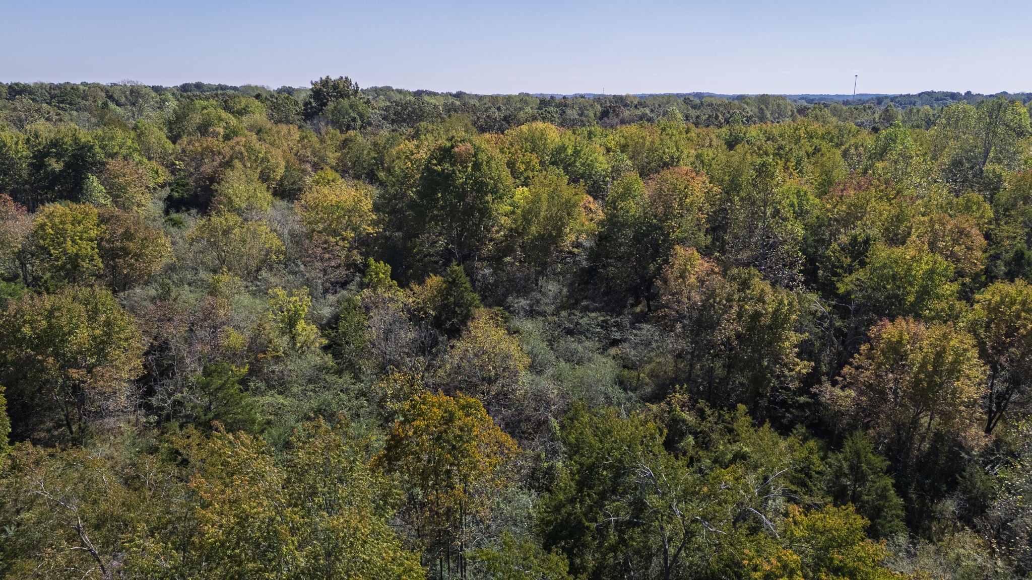 0 Bear Creek Road S Property Photo 26