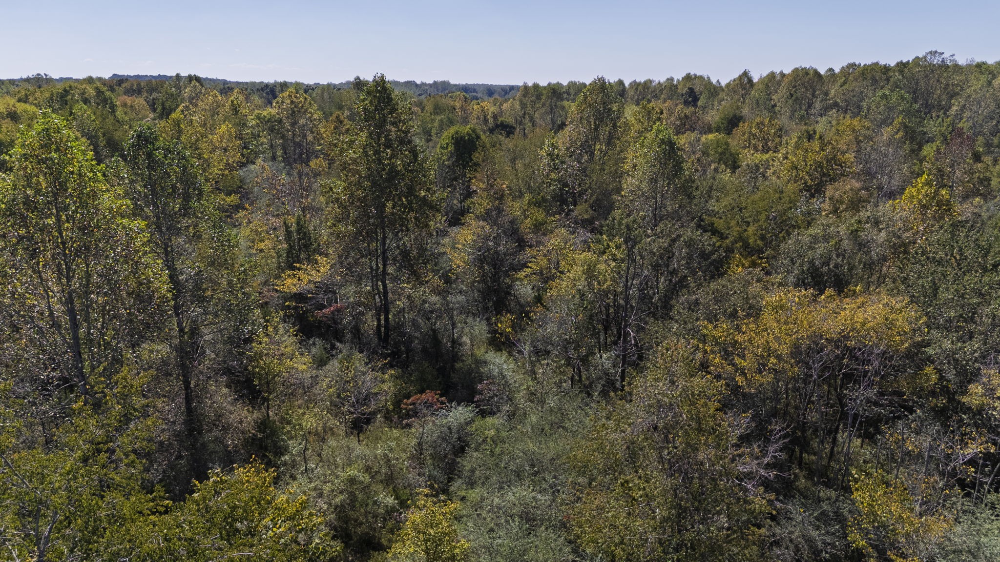 0 Bear Creek Road S Property Photo 27