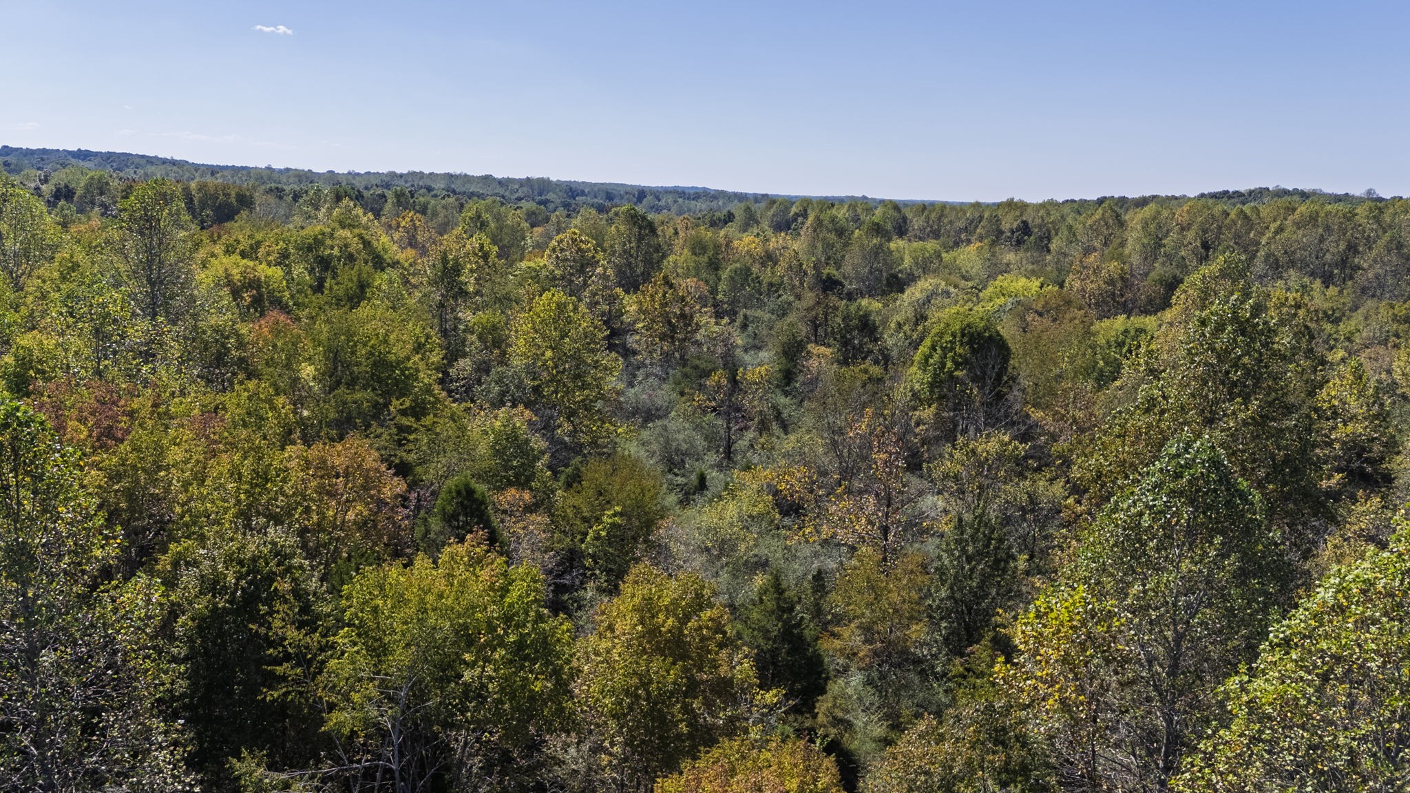 0 Bear Creek Road S Property Photo 29