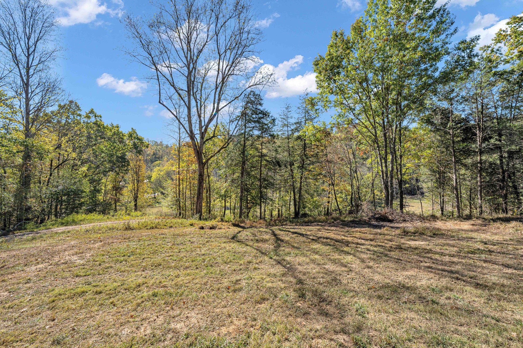 1894 Hicks Hollow Rd Property Photo 4