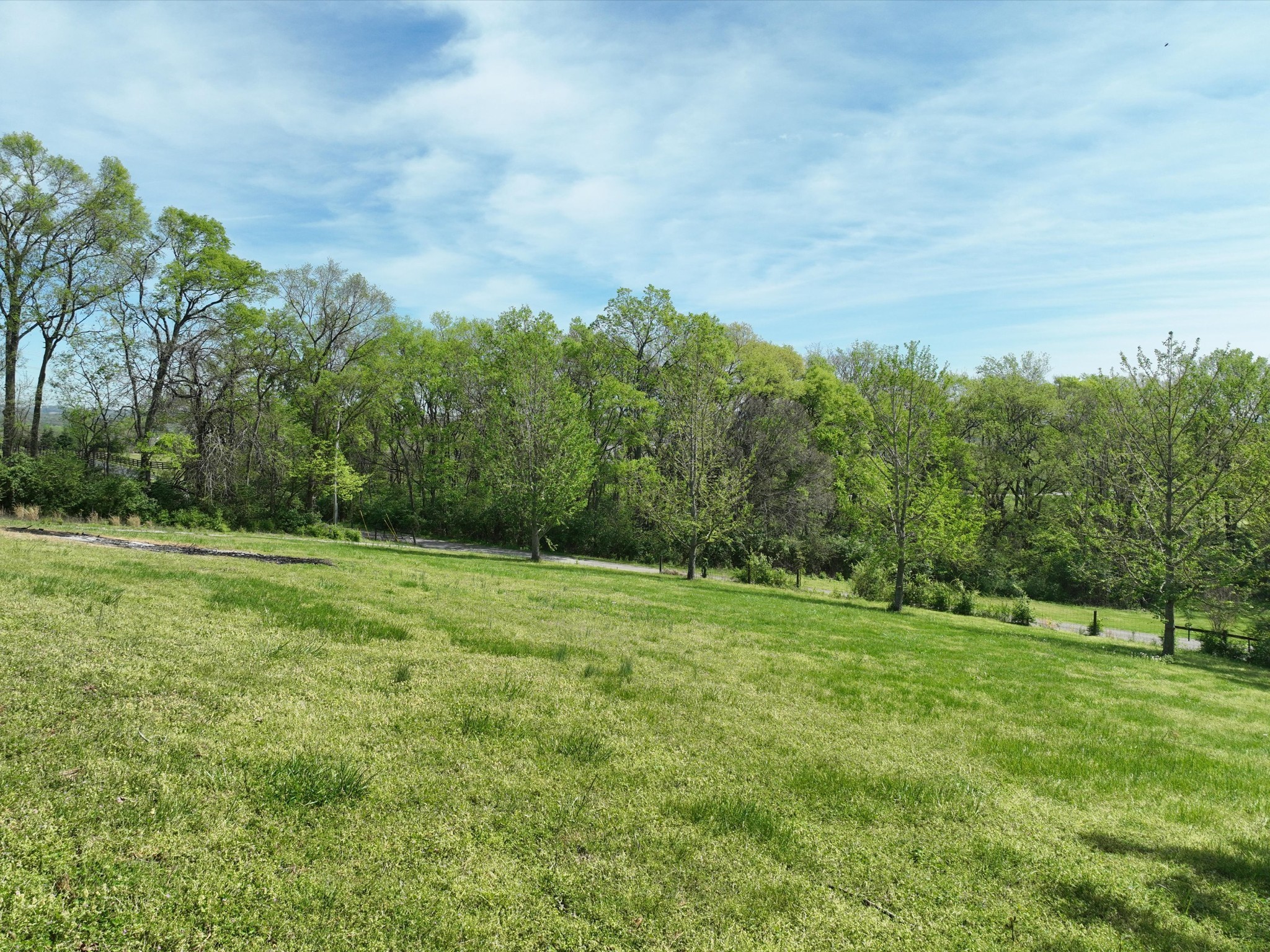 4321 Long Ln Property Photo 89