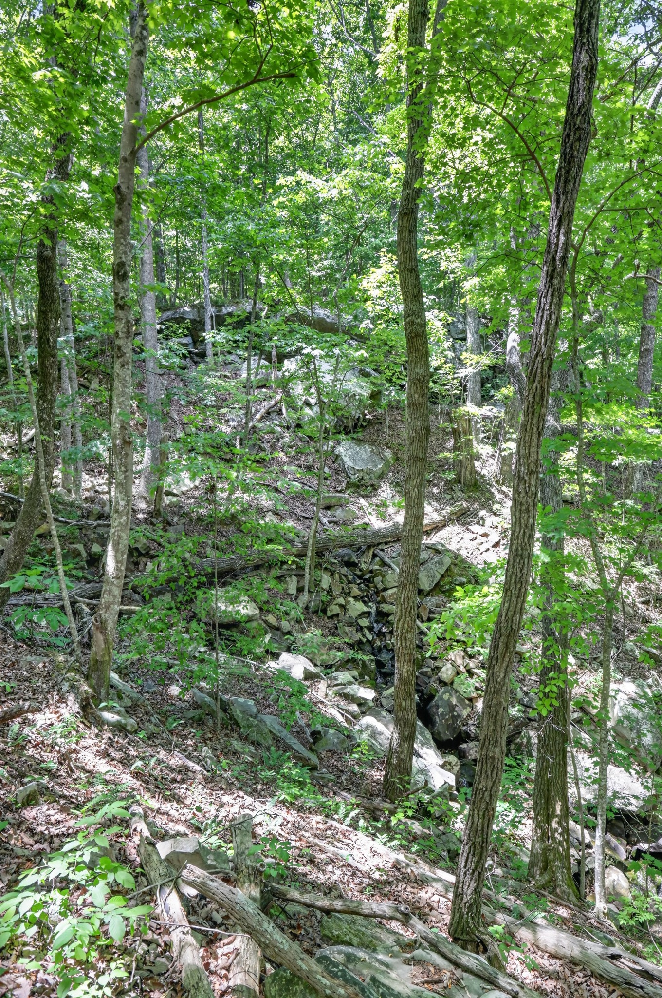 1215 Stage Coach Rd Property Photo 15