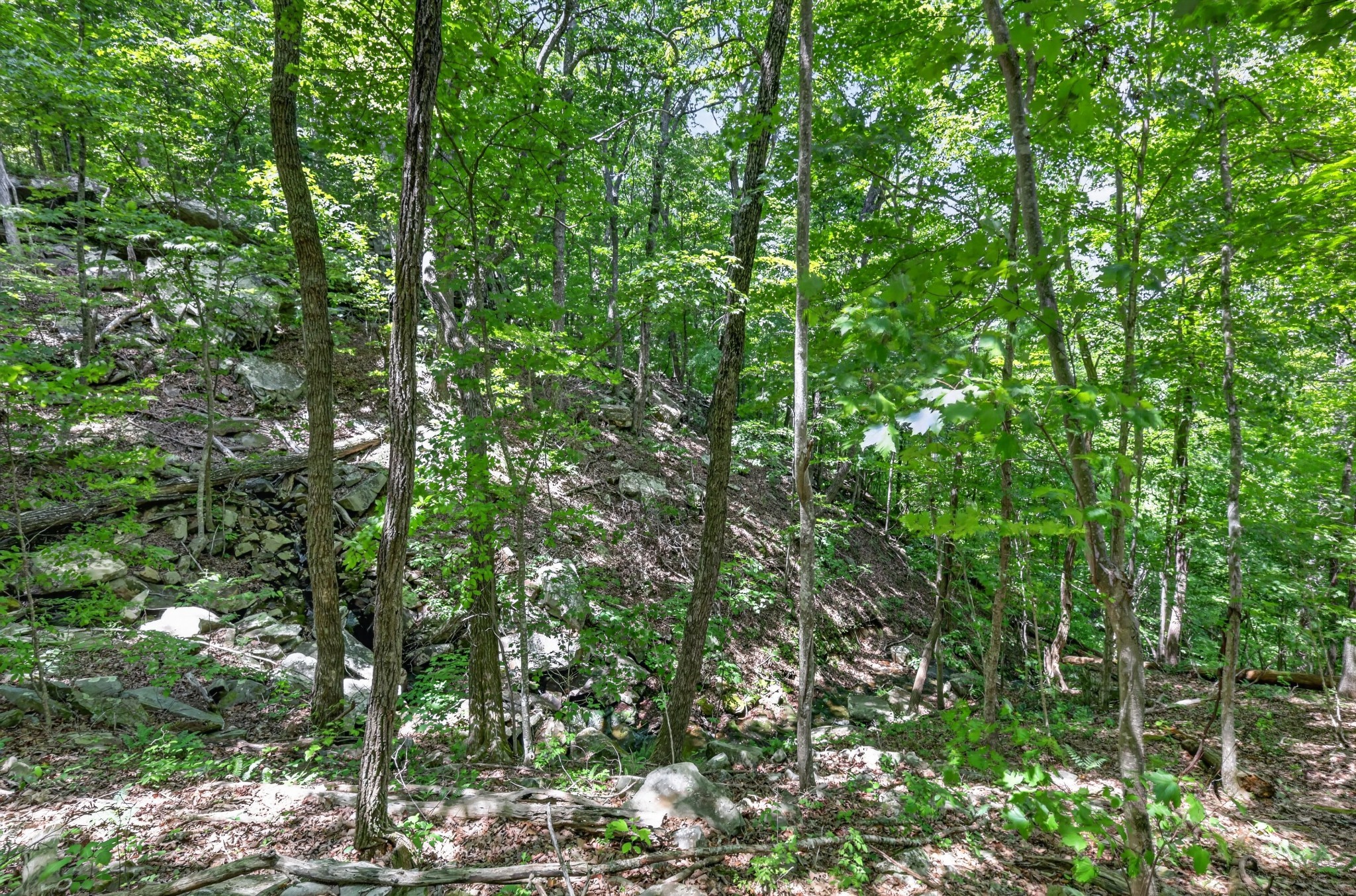 1215 Stage Coach Rd Property Photo 16