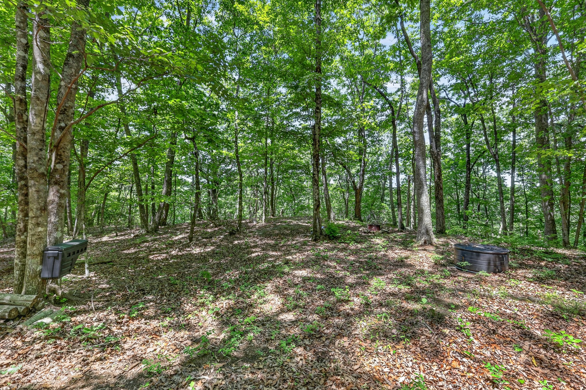 1215 Stage Coach Rd Property Photo 17