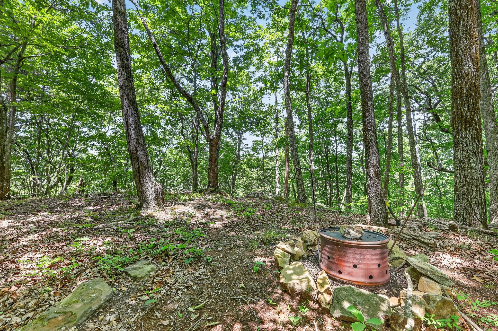 1215 Stage Coach Rd Property Photo 18
