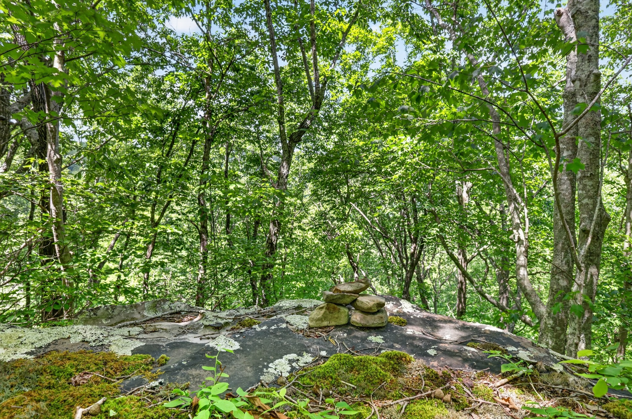 1215 Stage Coach Rd Property Photo 19