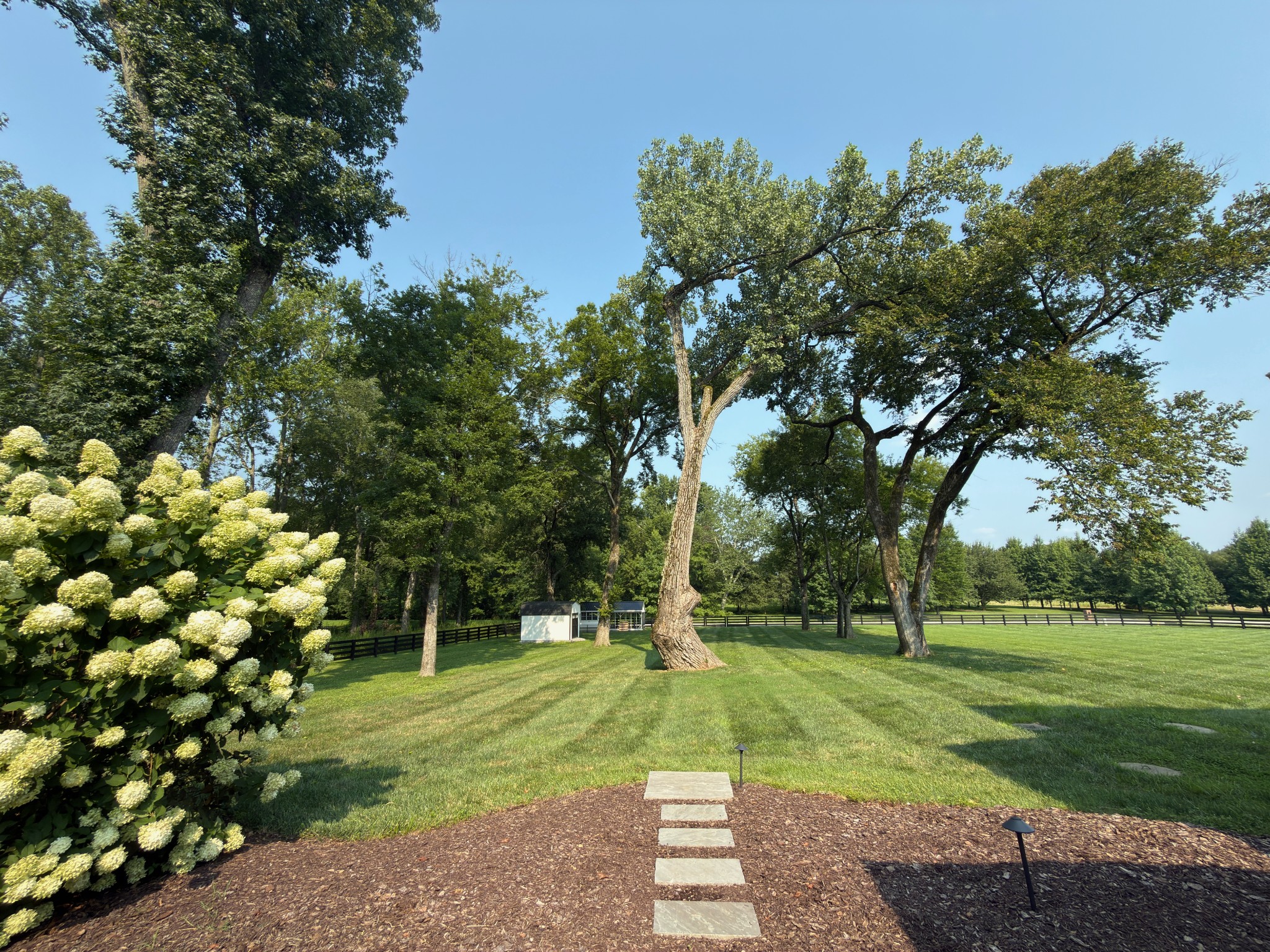 3700 Bosk Ln Property Photo 23