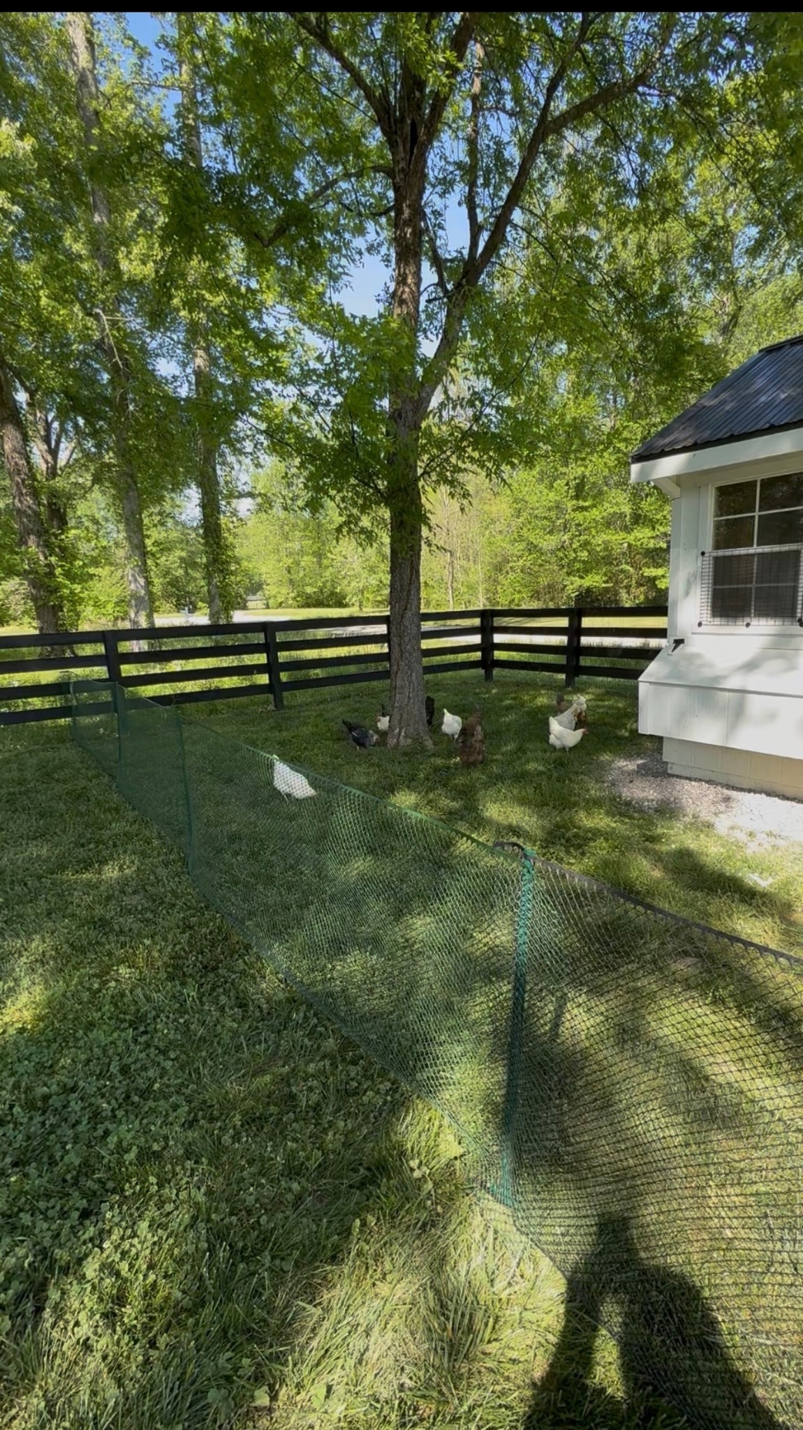 3700 Bosk Ln Property Photo 26