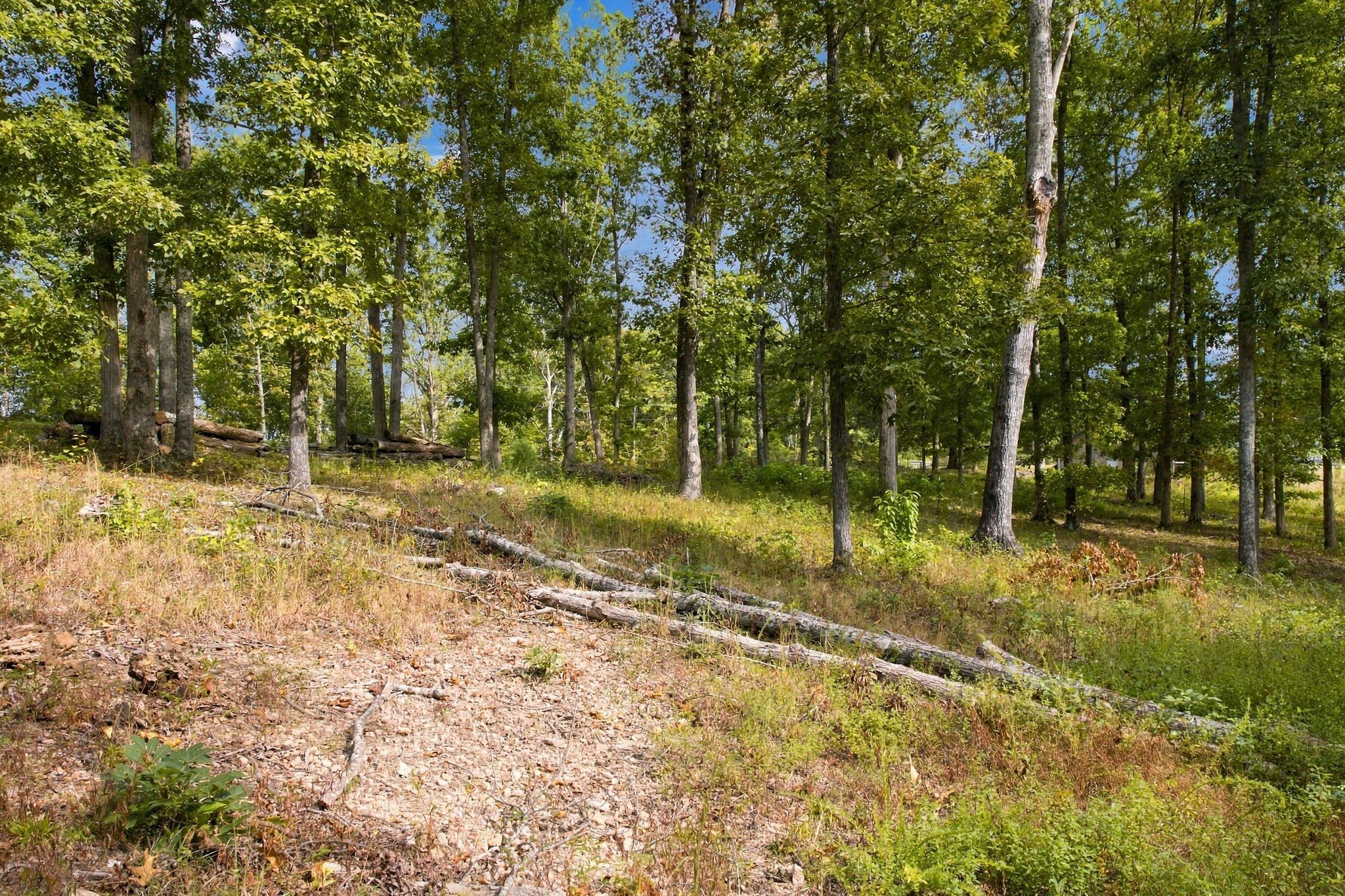 5580 Powell Sullivan Rd Property Photo 64