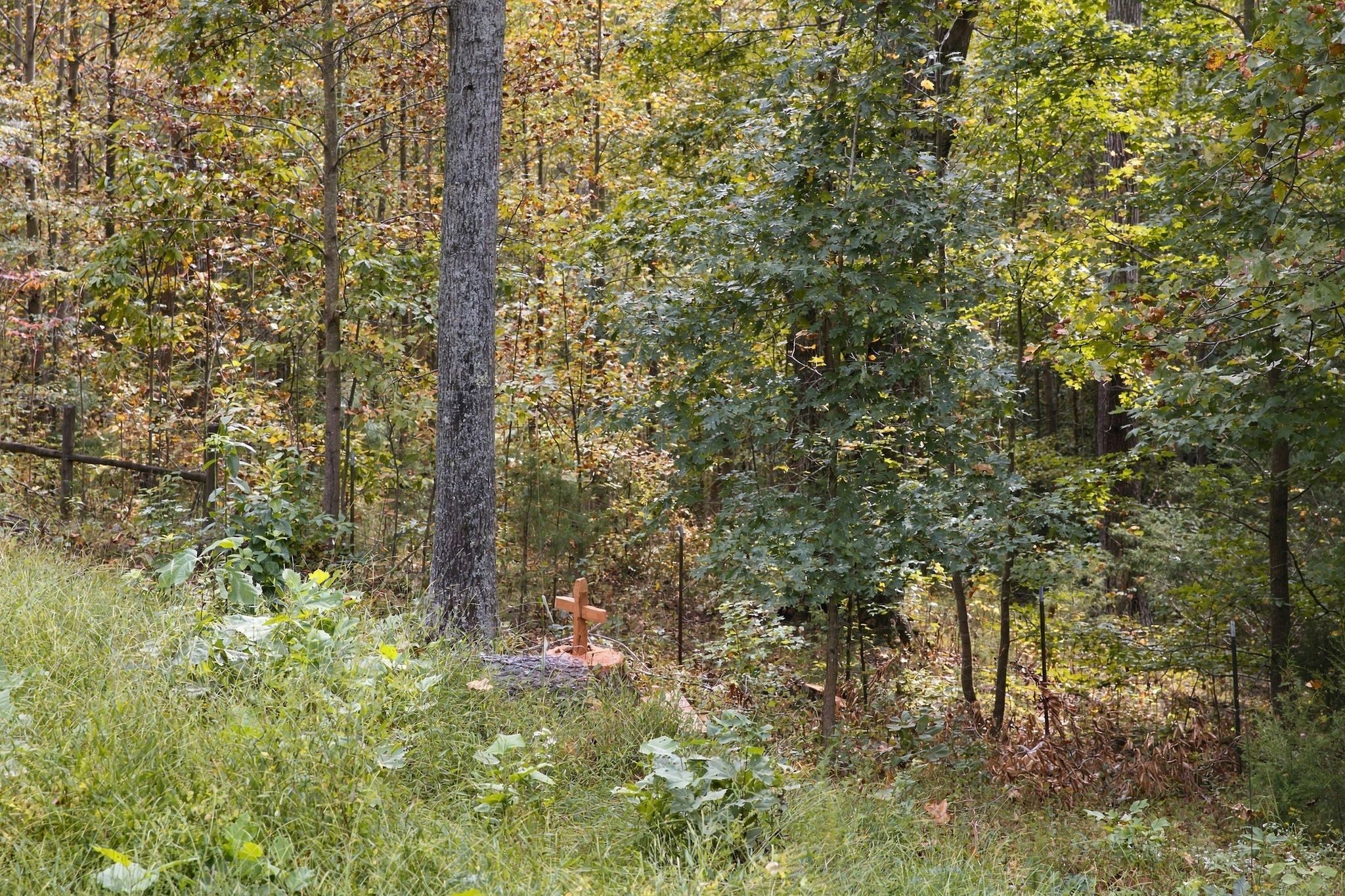 5580 Powell Sullivan Rd Property Photo 66