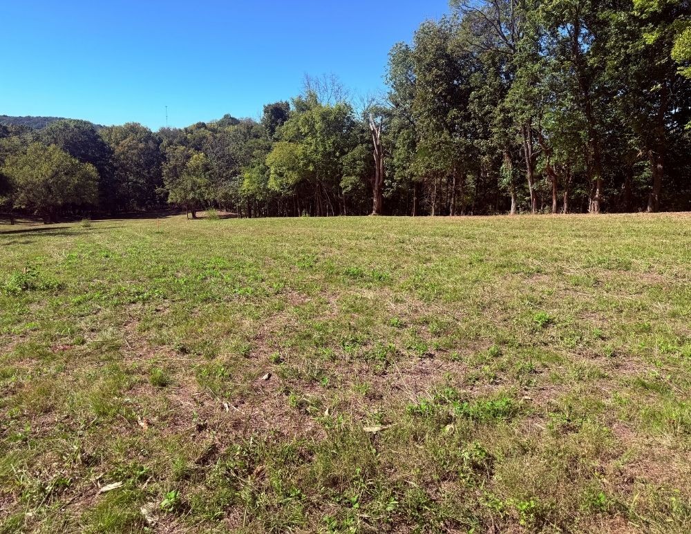 0 Cairo Bend Rd Property Photo 3