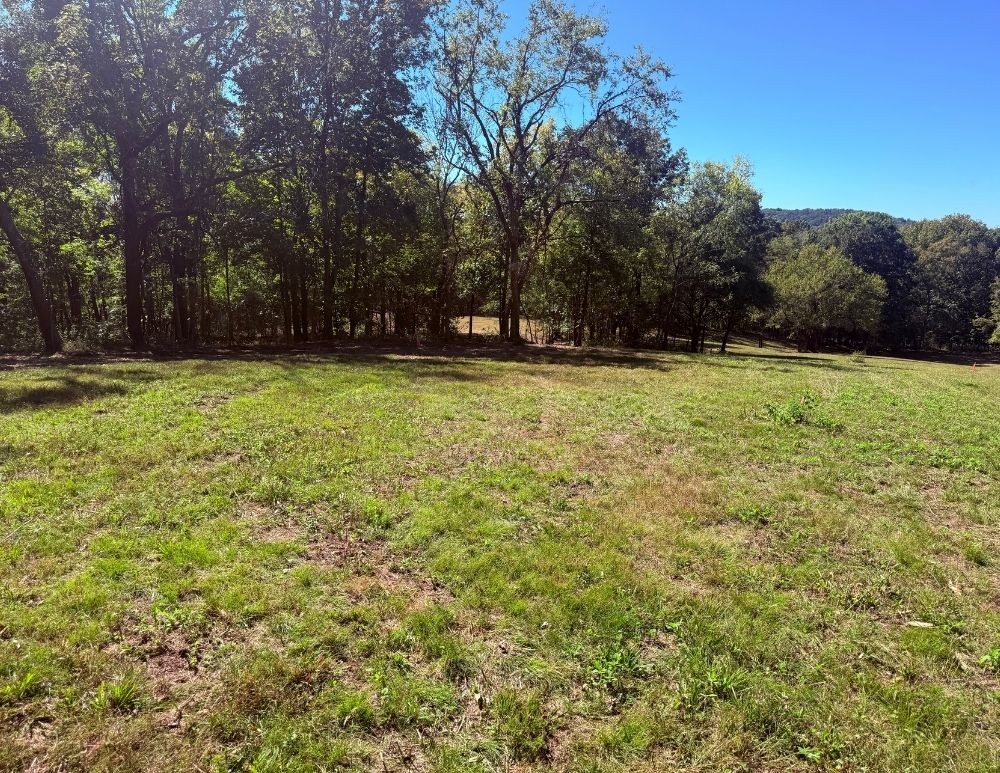 0 Cairo Bend Rd Property Photo 4