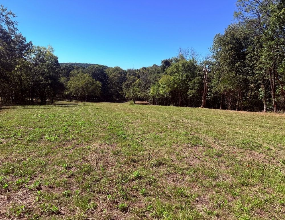 0 Cairo Bend Rd Property Photo 5