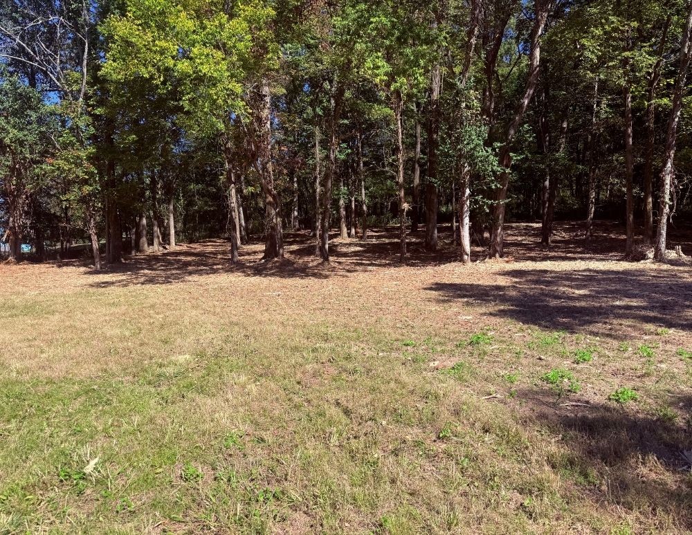 0 Cairo Bend Rd Property Photo 6