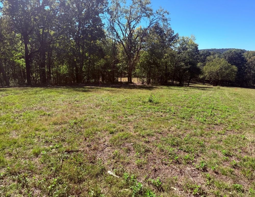 0 Cairo Bend Rd Property Photo 7