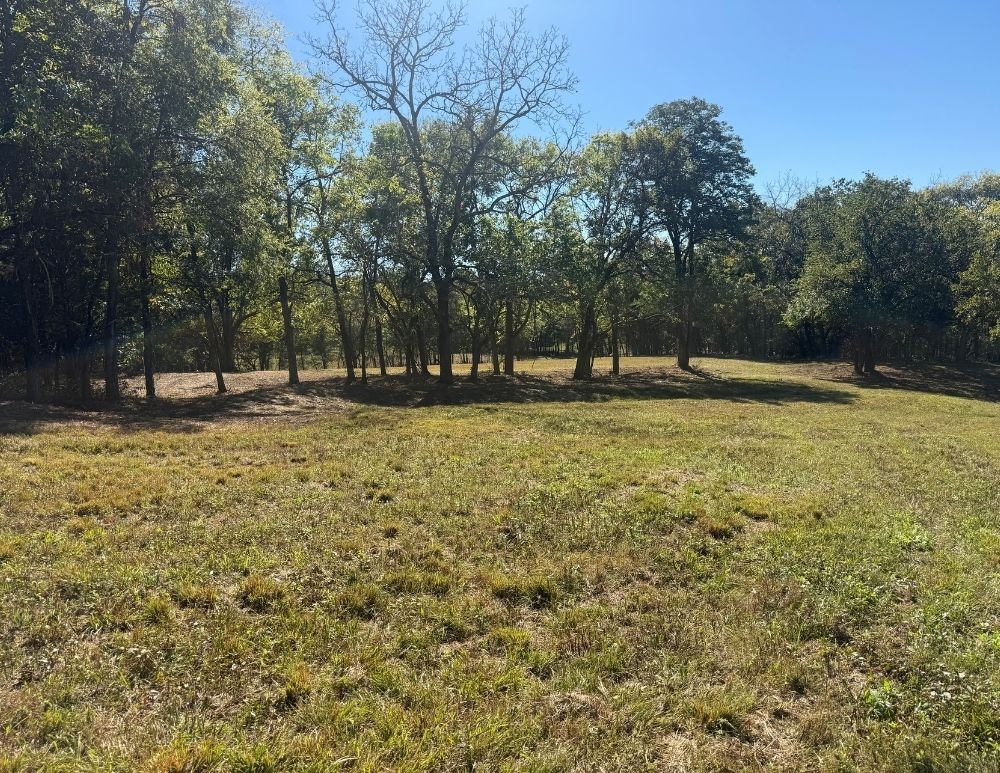0 Cairo Bend Rd Property Photo 8