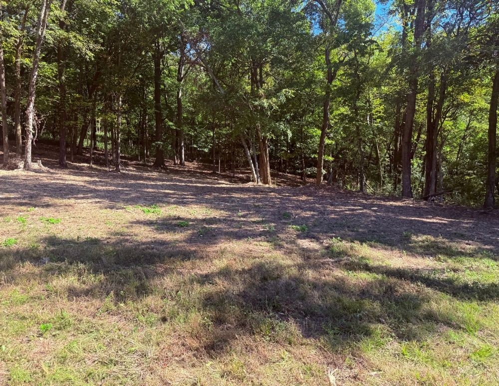 0 Cairo Bend Rd Property Photo 9