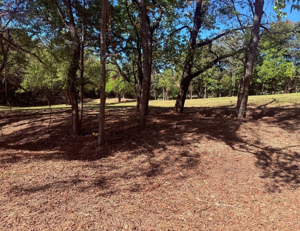 0 Cairo Bend Rd Property Photo 10
