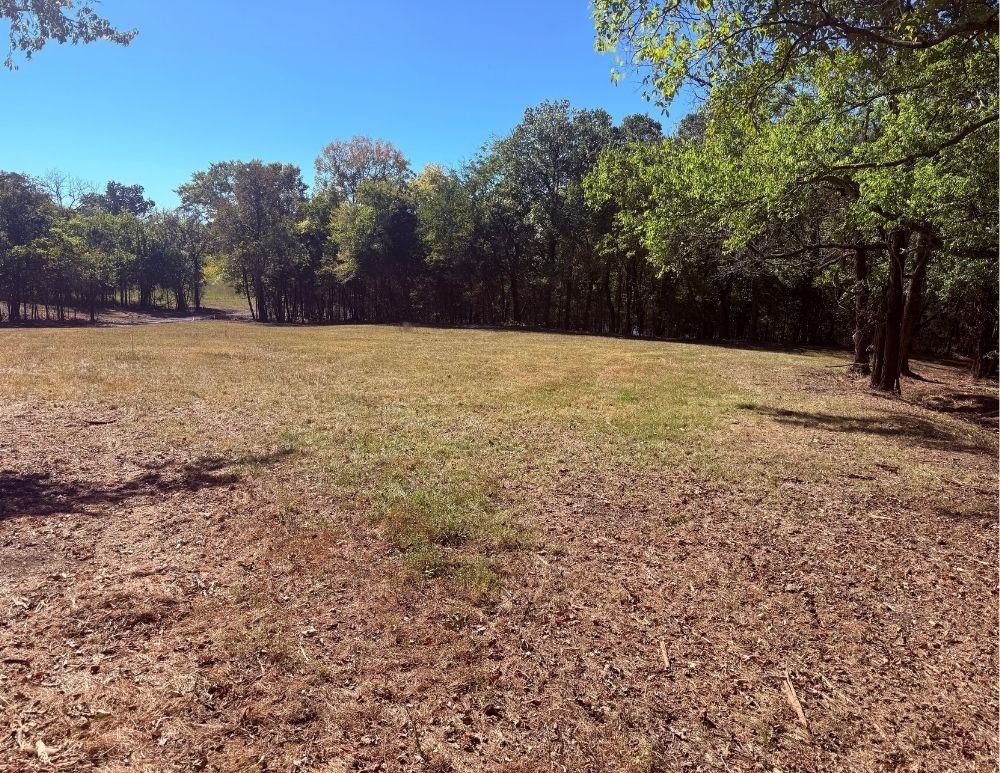 0 Cairo Bend Rd Property Photo 12