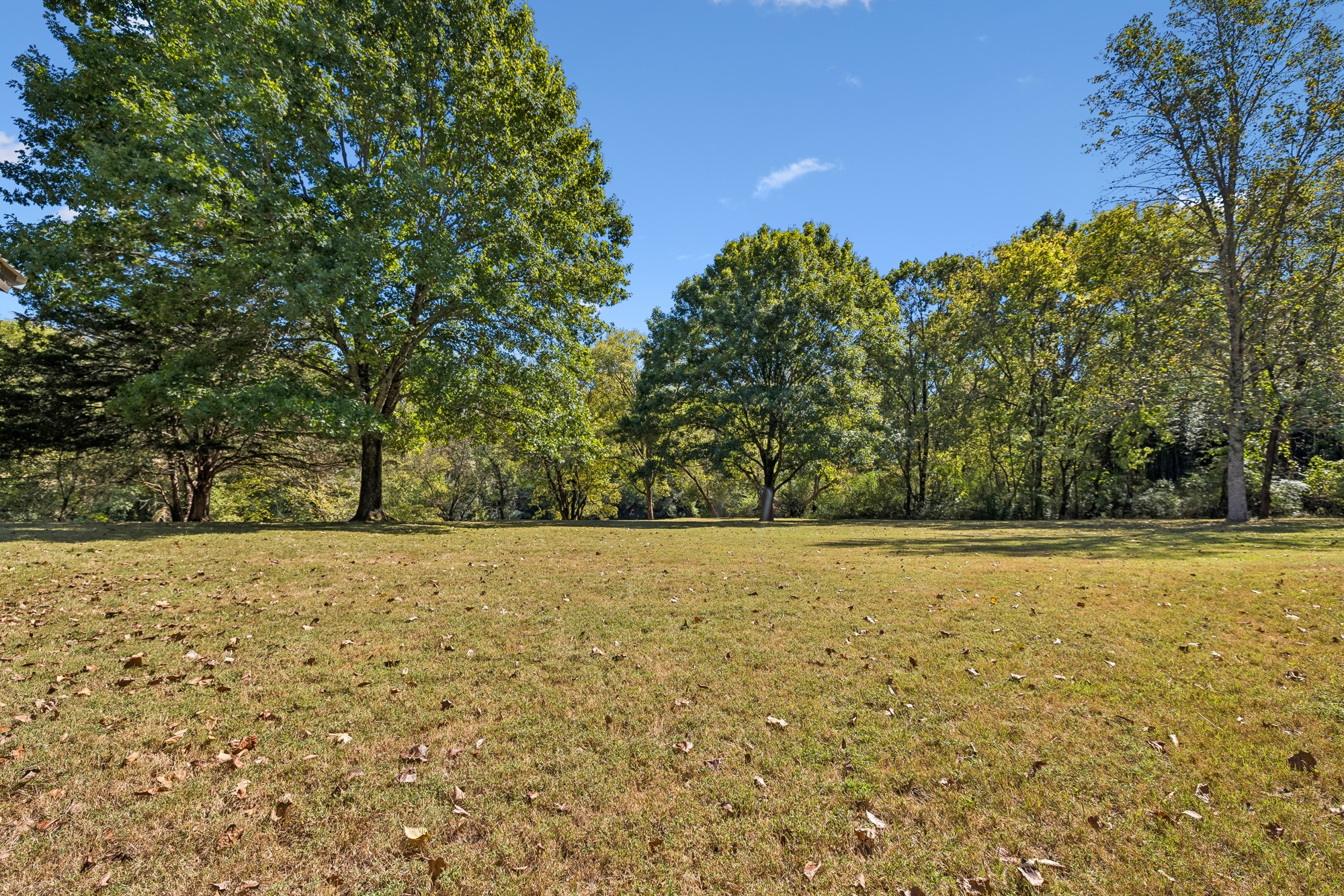 4172 Betty Ford Rd Property Photo 72