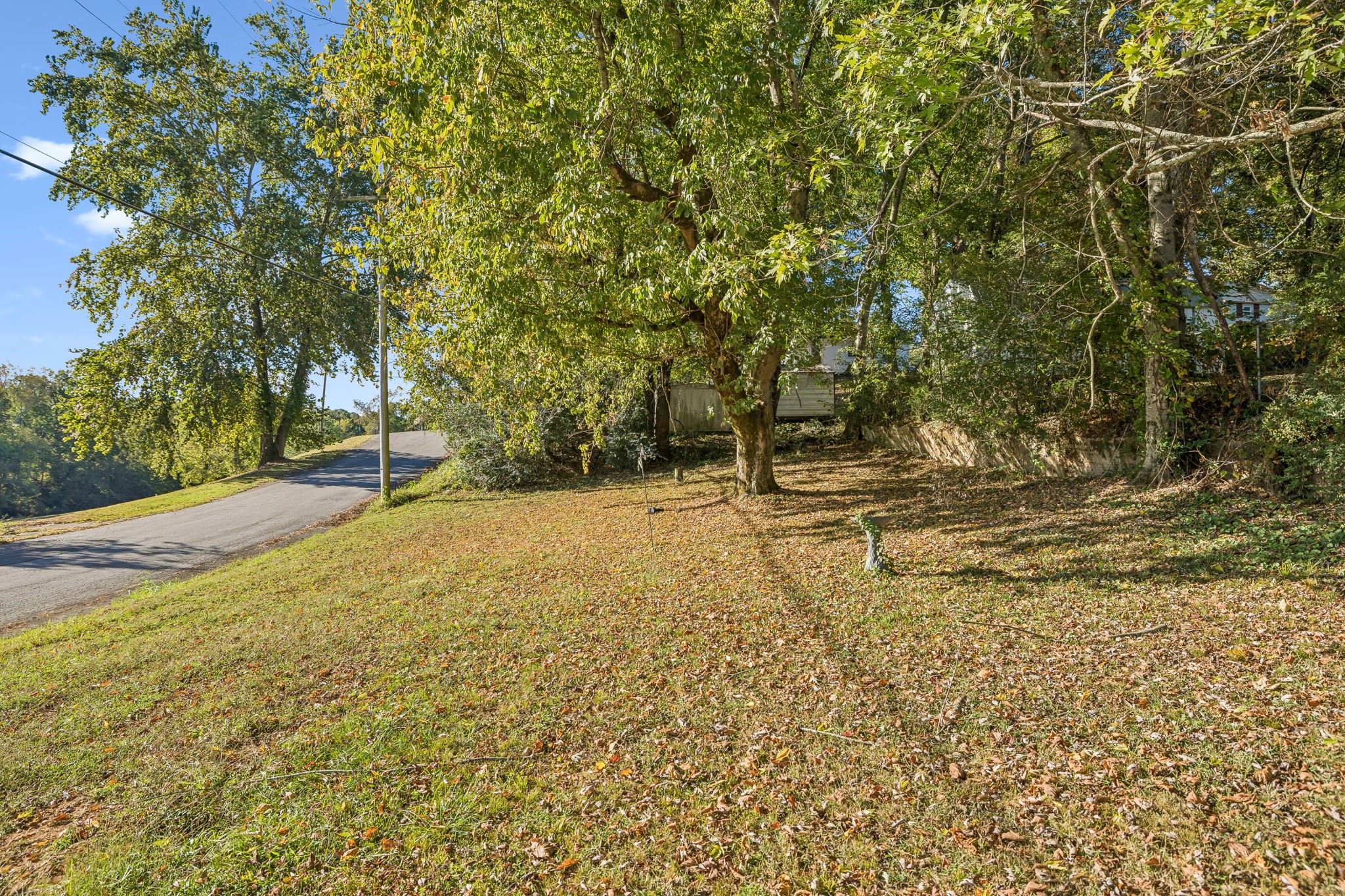 431 Parkes St Property Photo 10