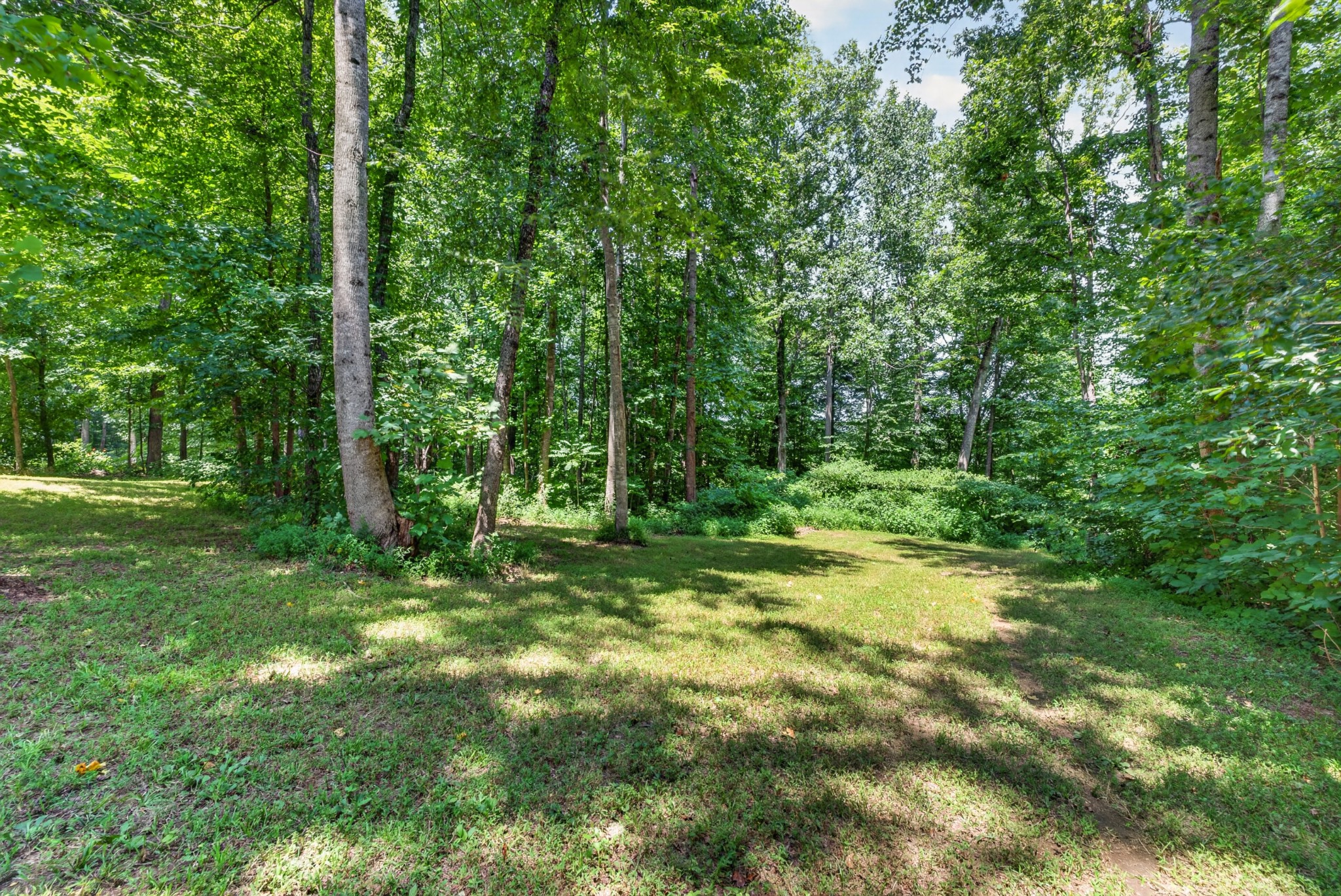 2665 Mockingbird Hill Rd Property Photo 10