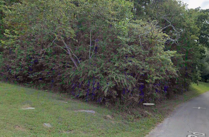 0 Burton Rd Property Photo 1