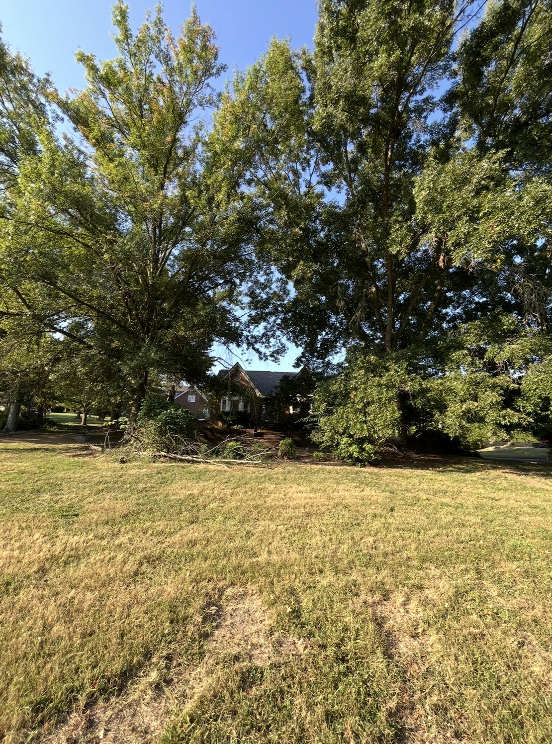 1715 Andrew Crockett Ct Property Photo 2