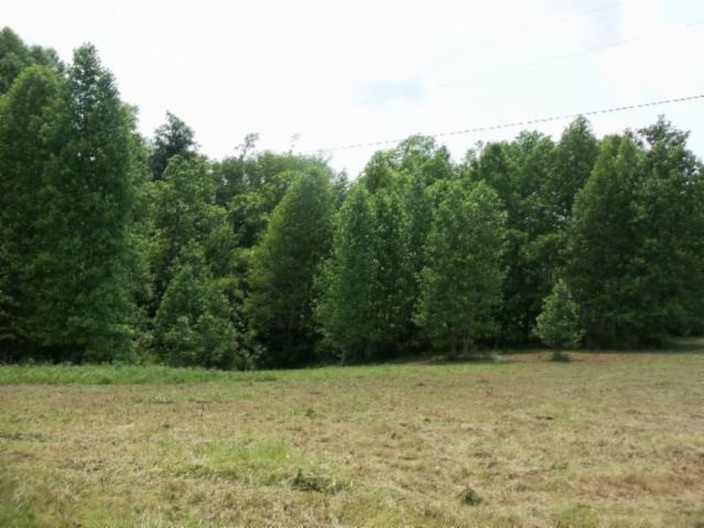 0 Mate Allen Rd Property Photo 16