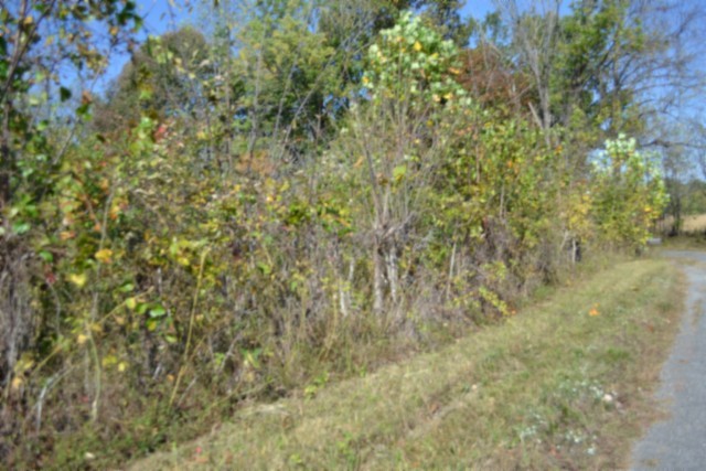 0 Mate Allen Rd Property Photo 32