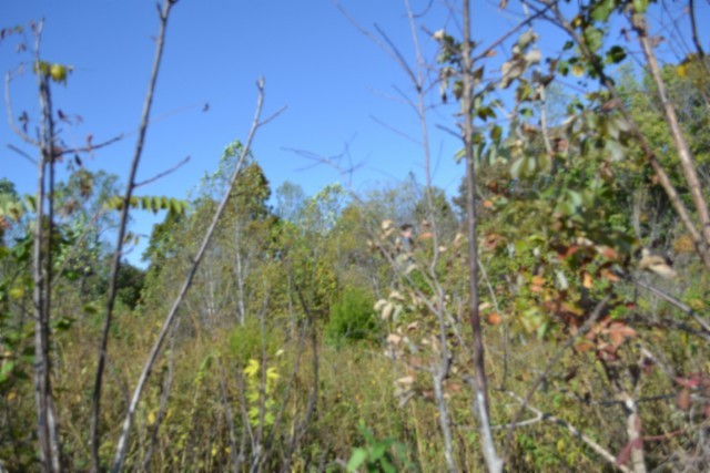 0 Mate Allen Rd Property Photo 33